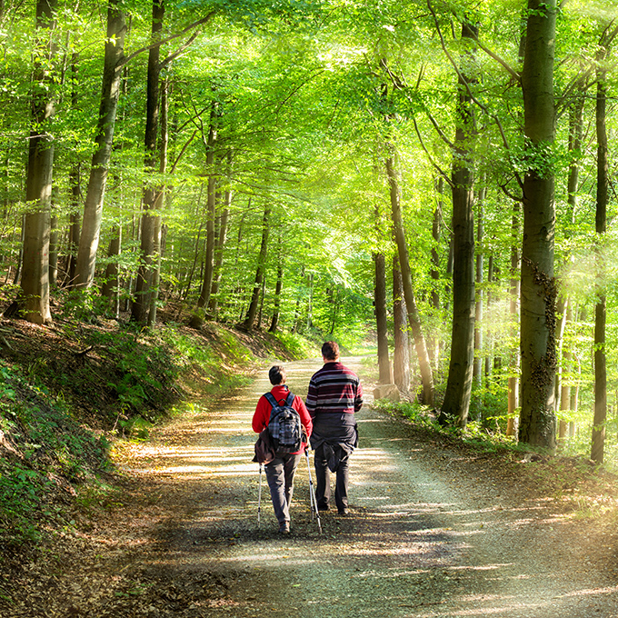 Aktivurlaub im Frühling bei einer Wanderung im Wald