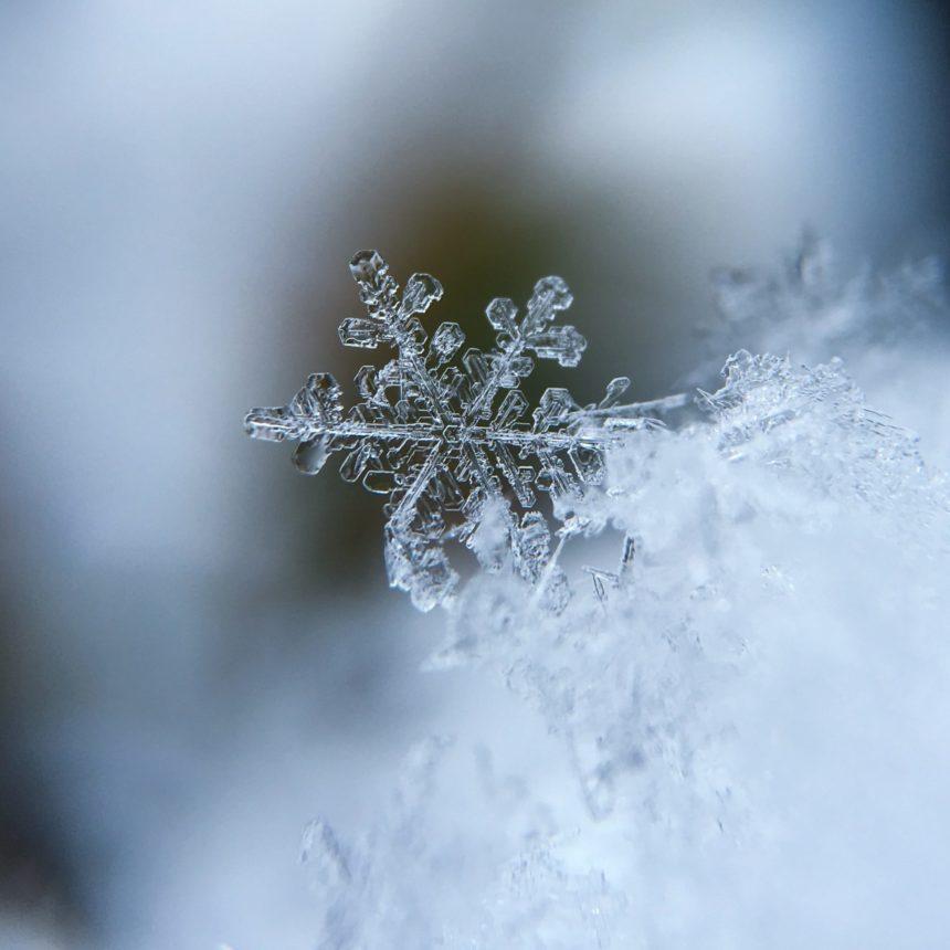aaron-burden-5AiWn2U10cw-unsplash winter images