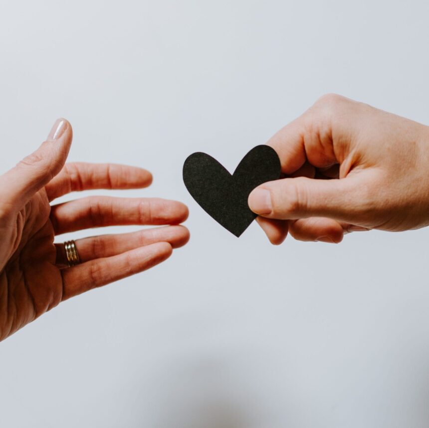 kelly-sikkema-XX2WTbLr3r8-unsplash kelly-sikkema-XX2WTbLr3r8-unsplash
